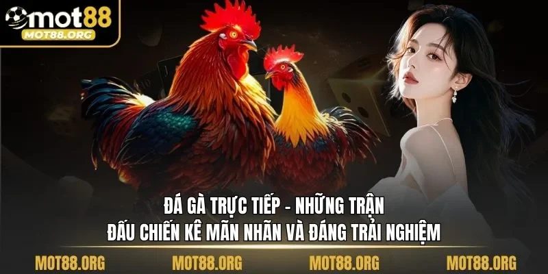 đá gà trực tiếp