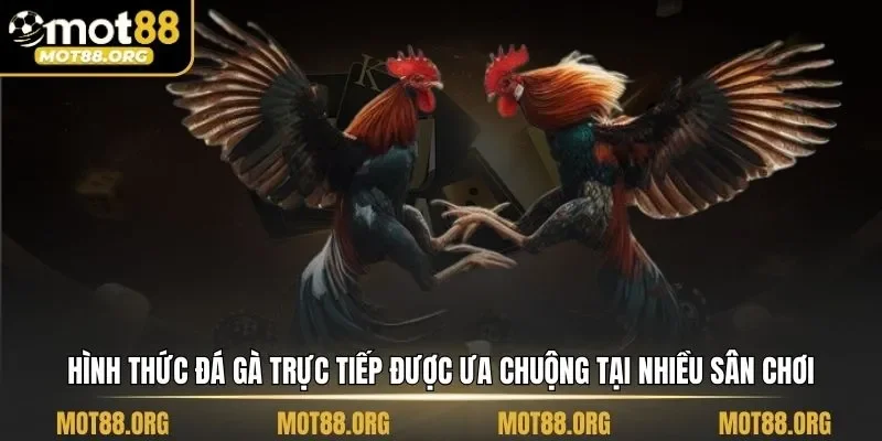 đá gà trực tiếp