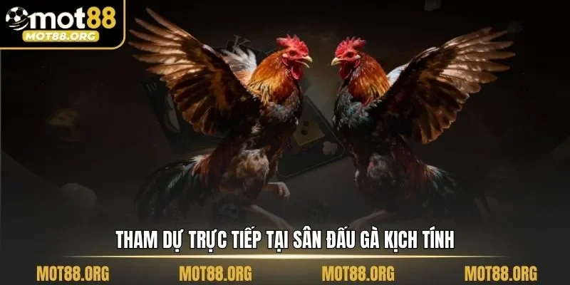 đá gà trực tiếp